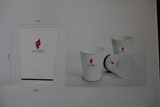 校园文化产品开发中的广告策划与设计赏析